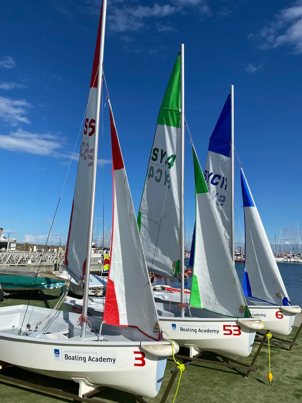 Sandringham Yacht Club Boating Academy dinghies with colourful sails rigged beside the marina